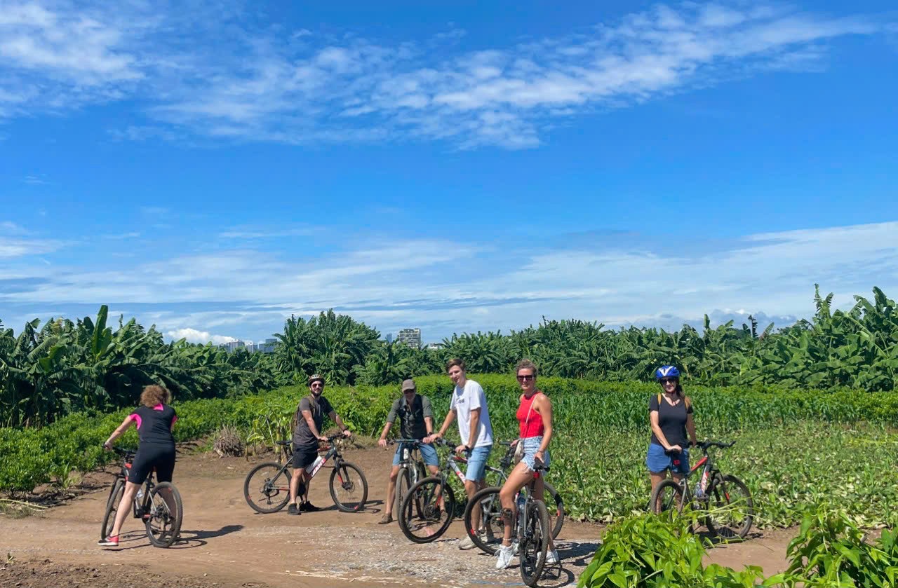 33bb23ef9c6e1030497f